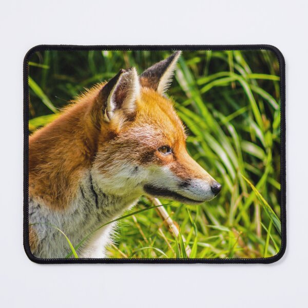 Item preview, fox designed and sold by abphotography92.