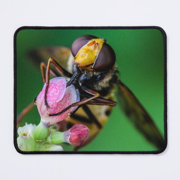 Item preview, hoverfly designed and sold by abphotography92.