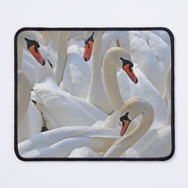 Item preview, Swans designed and sold by Guy Christophe Tixier.