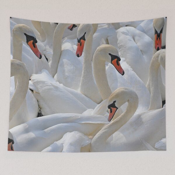 Item preview, Swans designed and sold by Guy Christophe Tixier.