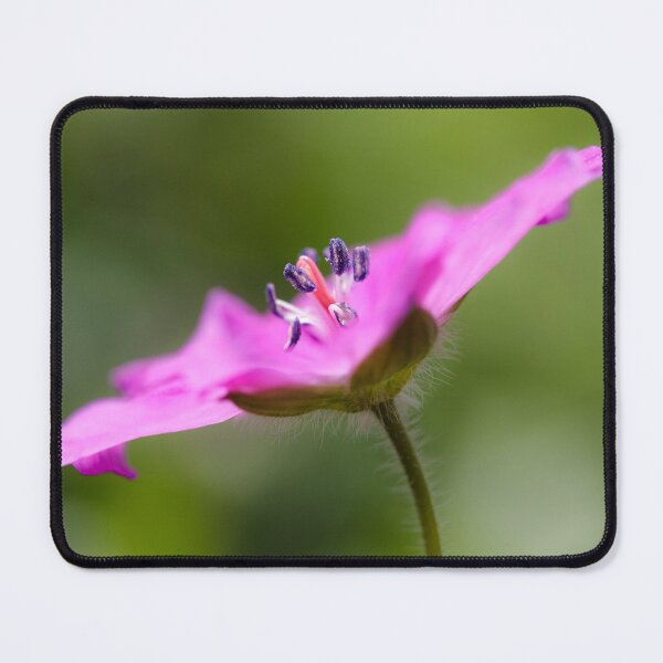Item preview, Pink Perfection designed and sold by heidipics.