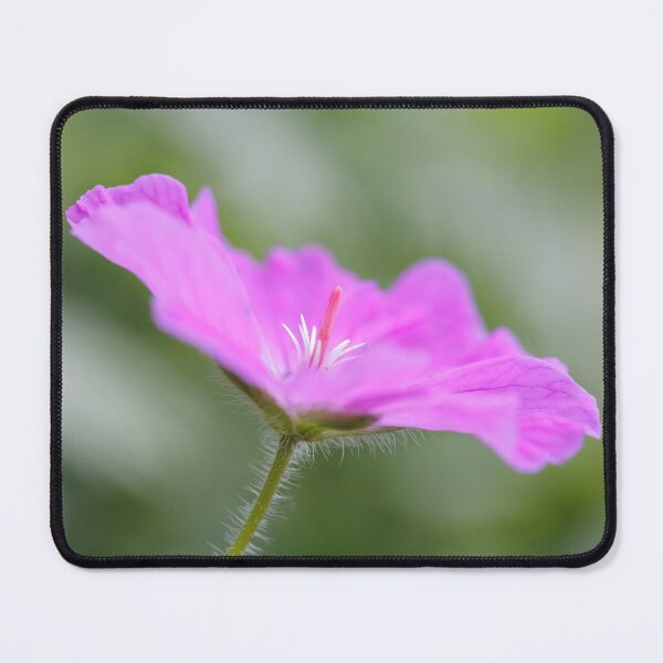 Item preview, Pretty in Pink designed and sold by heidipics.
