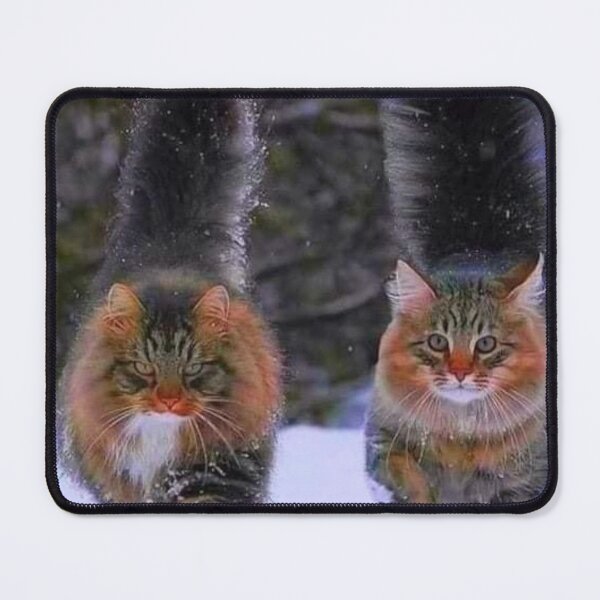 Item preview, Beautiful Norwegian Forest Cats designed and sold by Maddie4Real.