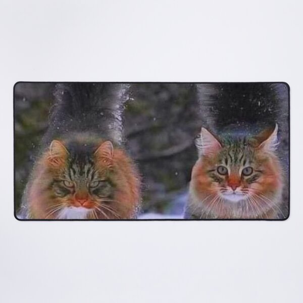 Item preview, Beautiful Norwegian Forest Cats designed and sold by Maddie4Real.
