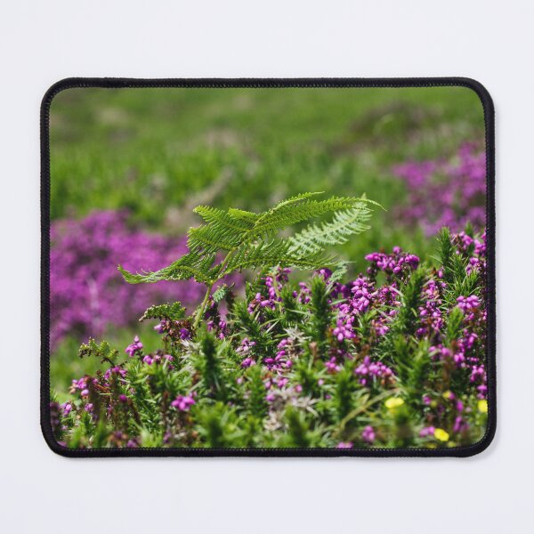 Item preview, Summer Heather designed and sold by heidipics.