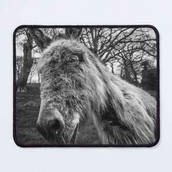 Item preview, Snotty Donkey designed and sold by heidipics.