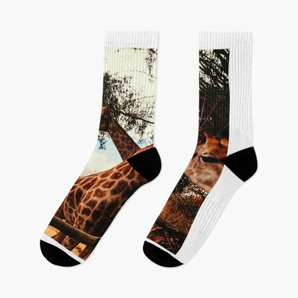Item preview, giraffe photo with high resolution quality designed and sold by Allyouneed-2.