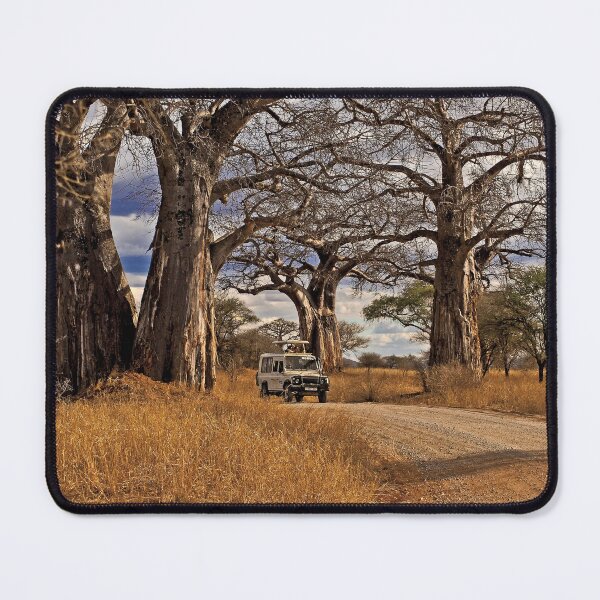 Item preview, Under the giant Baobabs designed and sold by Out there! Photography.