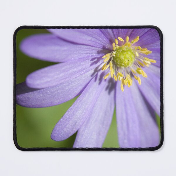 Item preview, Anemone Blanda designed and sold by heidipics.
