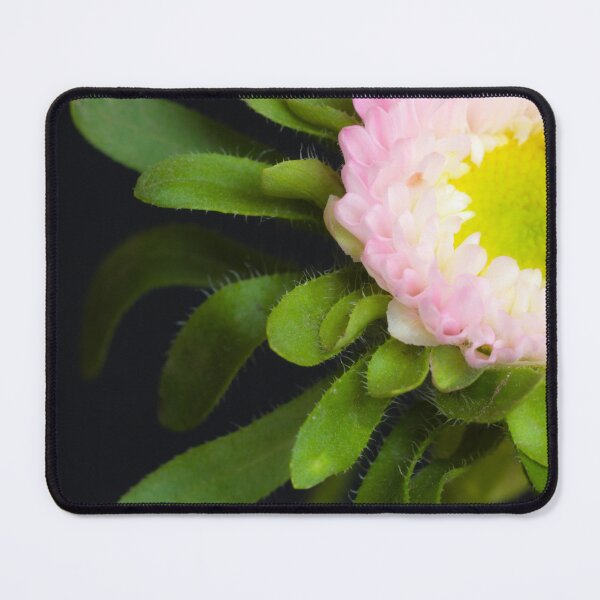 Item preview, Hidden Gem designed and sold by heidipics.