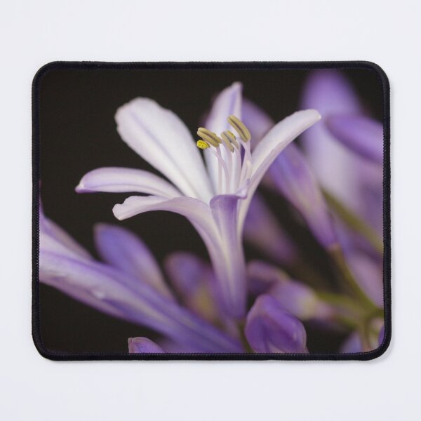 Item preview, Purple Dreams designed and sold by heidipics.