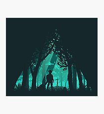 It's Dangerous To Go Alone Photographic Print
