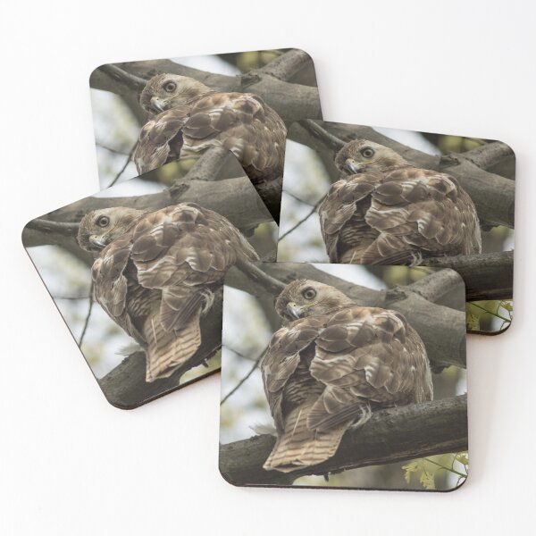 Item preview, Curious Red Tail Hawk in the Spring Forest designed and sold by Georgia Mizuleva.