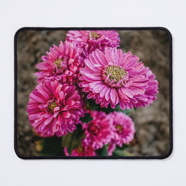 Item preview, Pink Flower designed and sold by Melcu.