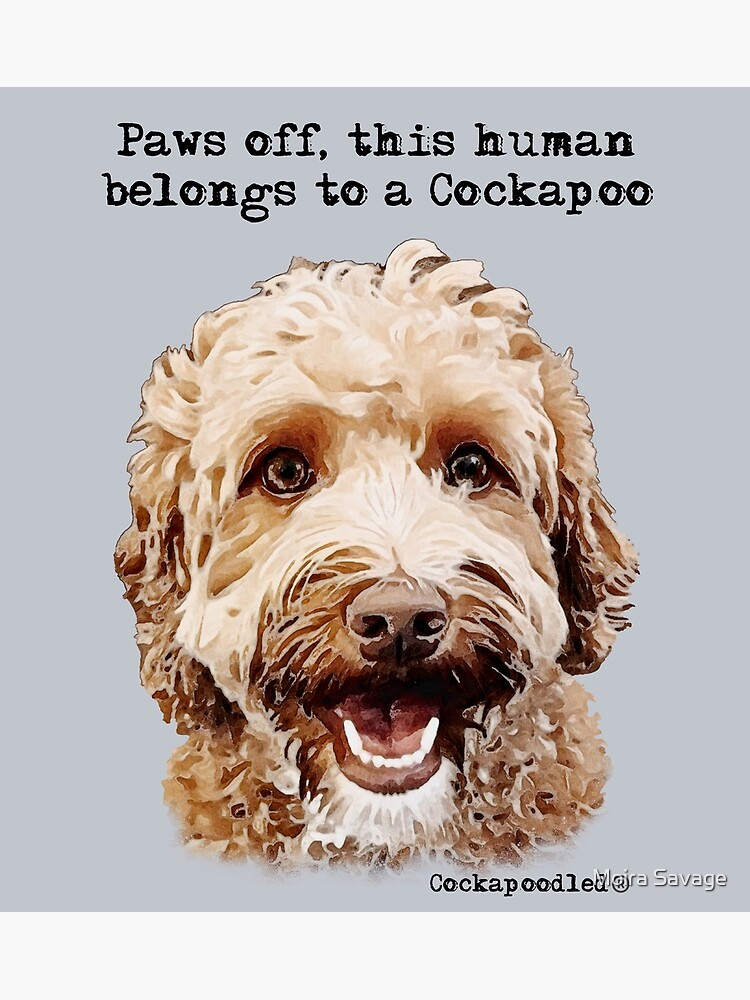 Cockapoo paws hot sale