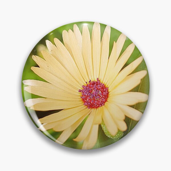 Item preview, african daisy designed and sold by Bethan Rose Studio.