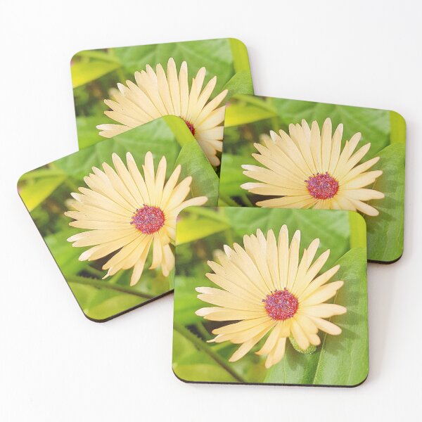 Item preview, african daisy designed and sold by Bethan Rose Studio.