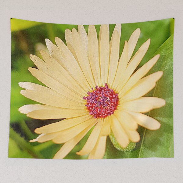 Item preview, african daisy designed and sold by Bethan Rose Studio.