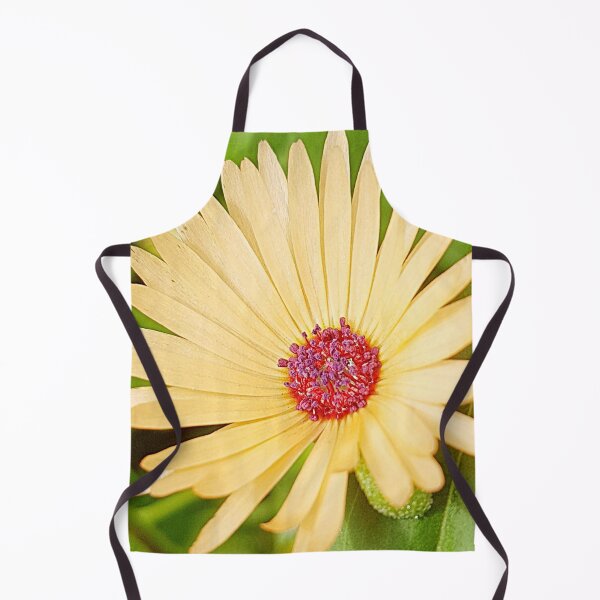 Item preview, african daisy designed and sold by Bethan Rose Studio.