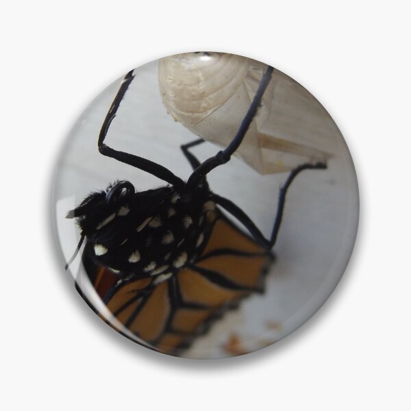 Item preview, Fresh From the Chrysalis designed and sold by Sunny Ammerman.