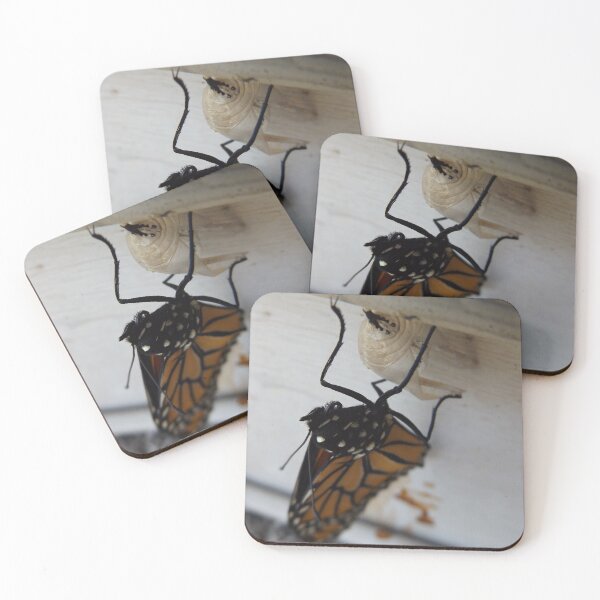 Item preview, Fresh From the Chrysalis designed and sold by Sunny Ammerman.