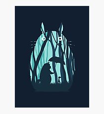 My Neighbor Totoro Photographic Print