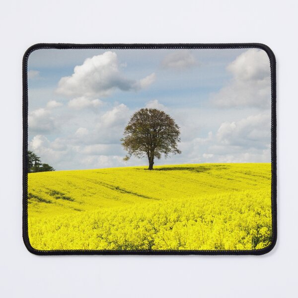 Item preview, The Path to Happiness designed and sold by heidipics.
