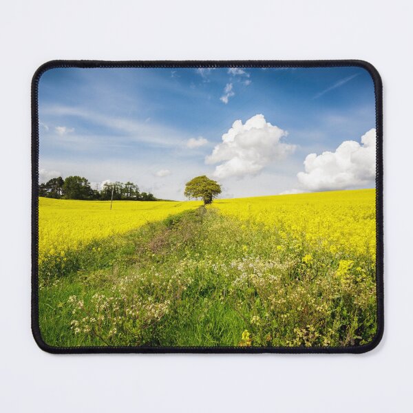 Item preview, Tree in Oilseed Rape Field designed and sold by heidipics.