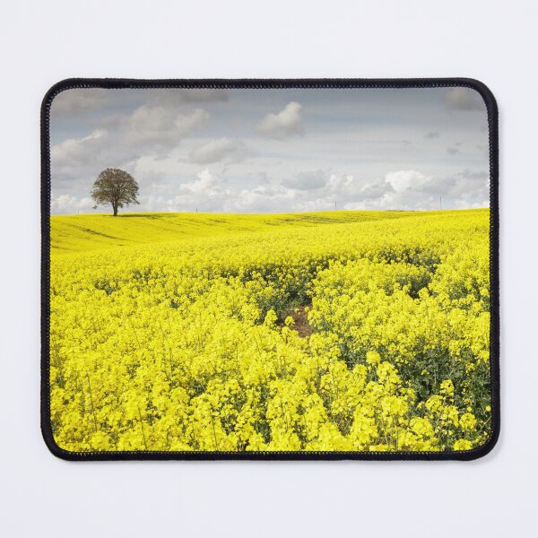 Item preview, Fields of Gold designed and sold by heidipics.