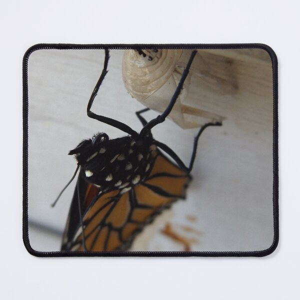 Item preview, Fresh From the Chrysalis designed and sold by Sunny Ammerman.