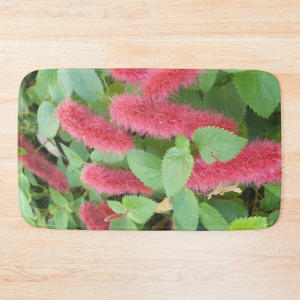 Item preview, Acalypha reptans - Stephie designed and sold by Bennymp.