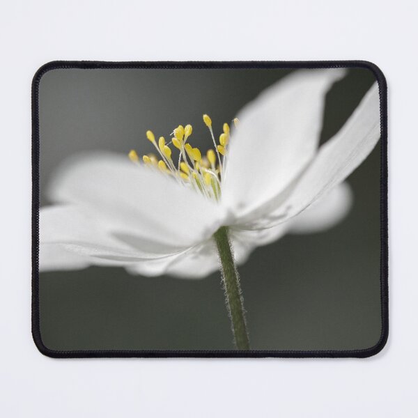 Item preview, Exquisite designed and sold by heidipics.