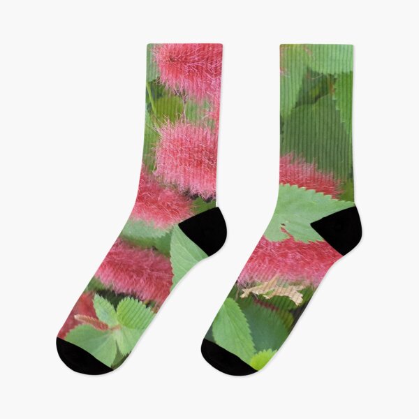 Item preview, Acalypha reptans - Stephie designed and sold by Bennymp.