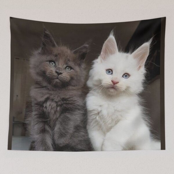 Item preview, Maine Coon Babies designed and sold by Maddie4Real.