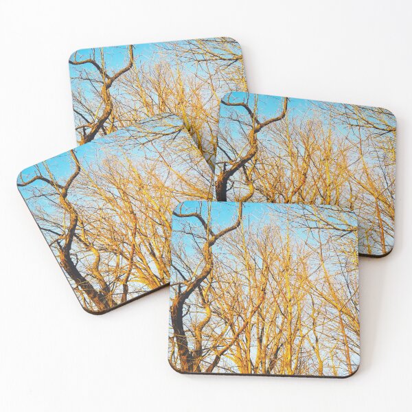 Item preview, Bare winter trees twisting and bending against the background of the blue cloudless sky  designed and sold by helenkaiy.