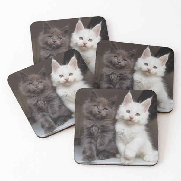 Item preview, Maine Coon Babies designed and sold by Maddie4Real.