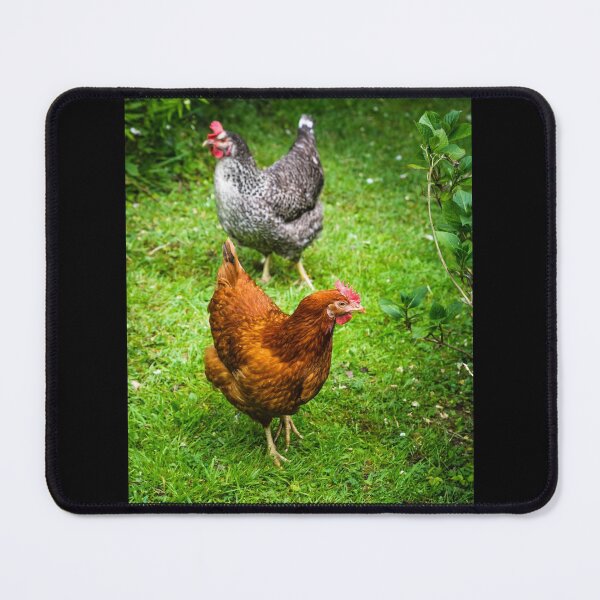 Item preview, Chickens designed and sold by heidipics.