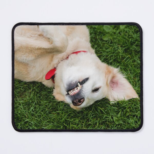 Item preview, Smile for the Photographer designed and sold by heidipics.