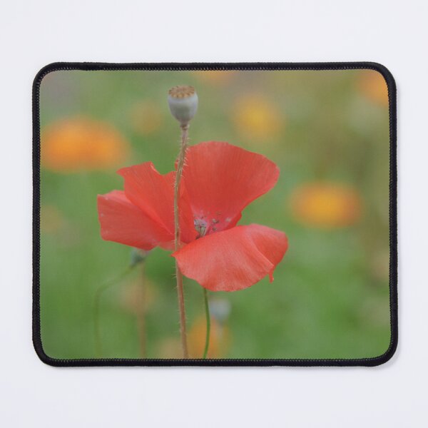 Item preview, Poppy designed and sold by heidipics.