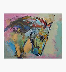 Horse Study Photographic Print