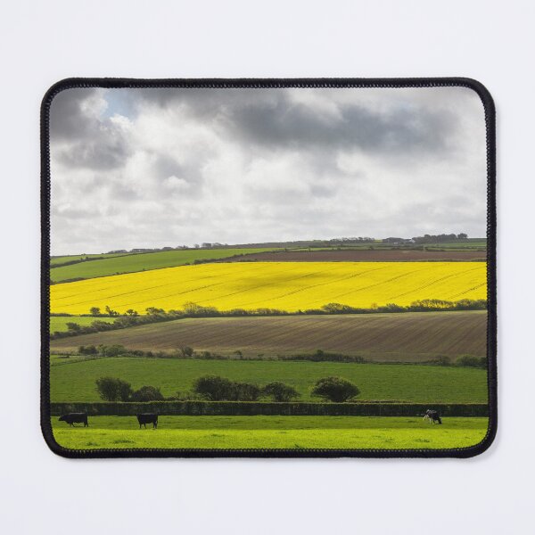 Item preview, Farmers Fields, Pembrokeshire designed and sold by heidipics.