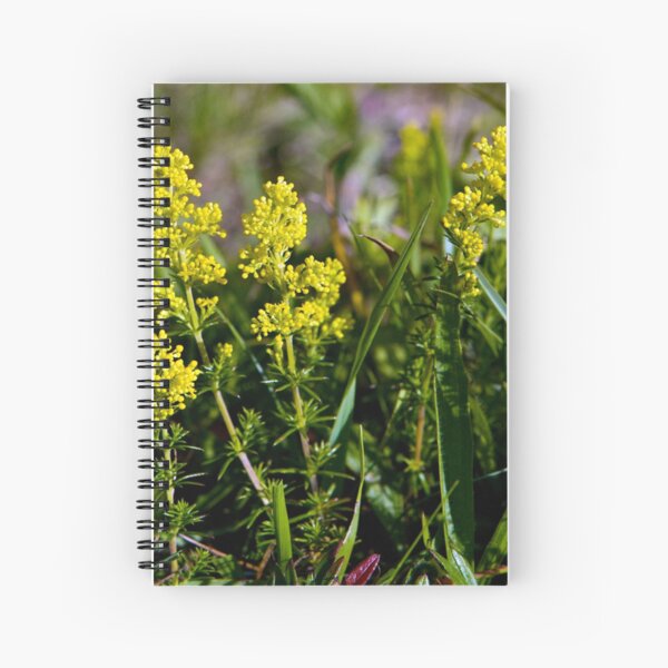 Galium Verum (Lady’s Bedstraw), Inishmore, Aran Islands Spiral Notebook