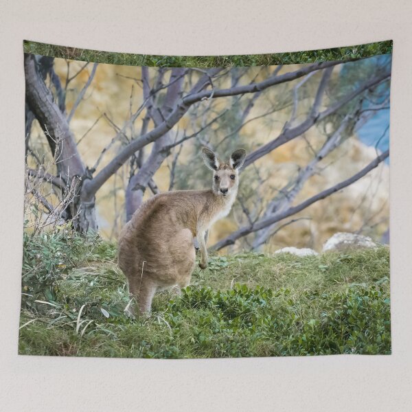 Item preview, Australian Kangaroo in Bushland designed and sold by Jaydee001.