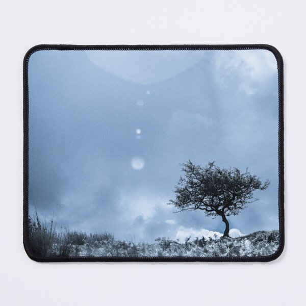 Item preview, Solitary Tree designed and sold by heidipics.