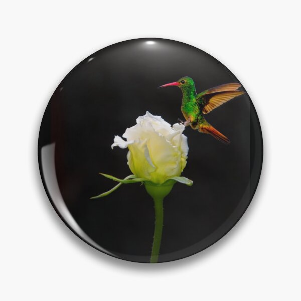 Artikelvorschau, Tom Daumen auf einer Rosenknospe entworfen und verkauft von alabca.