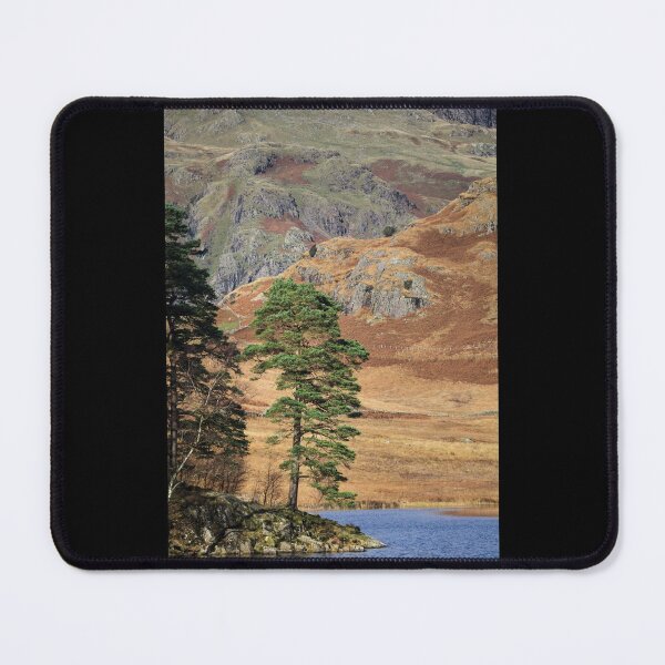 Item preview, Tree at Blea Tarn, Lake District designed and sold by heidipics.