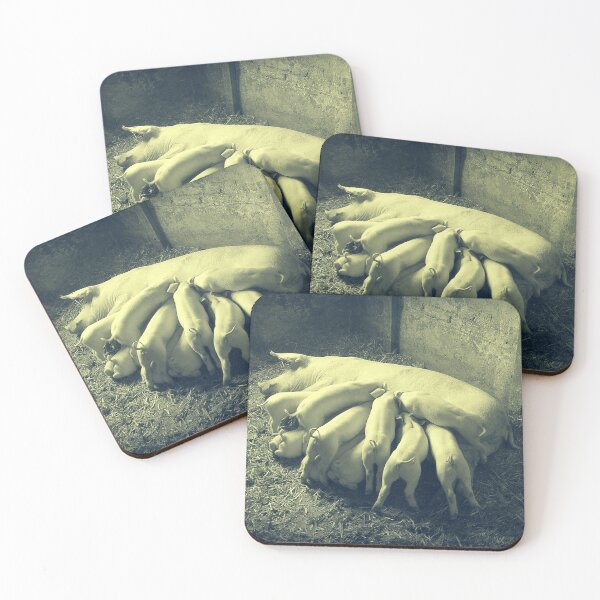 Item preview, Pig breastfeed little piglets Vintage Photo Print designed and sold by Pankas.