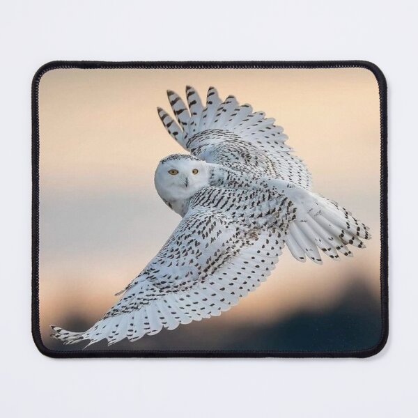 Item preview, Snowy Owl Magnificence designed and sold by Maddie4Real.