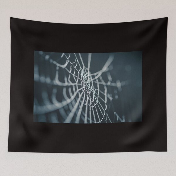 Item preview, Spider Web Karate designed and sold by AnnoyedMouse.