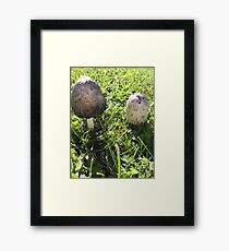 Fungus Framed Print